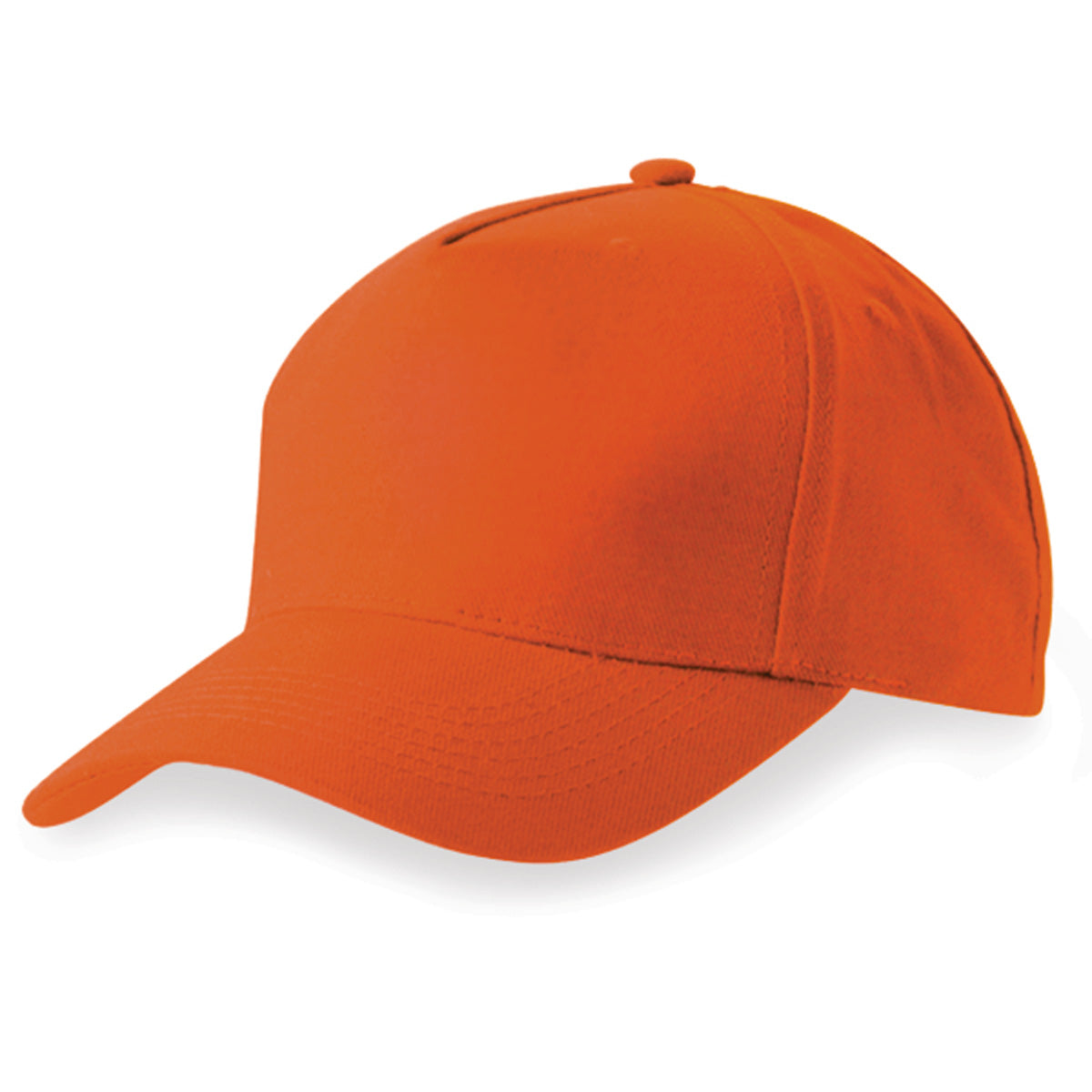 Budget 5 panel cap