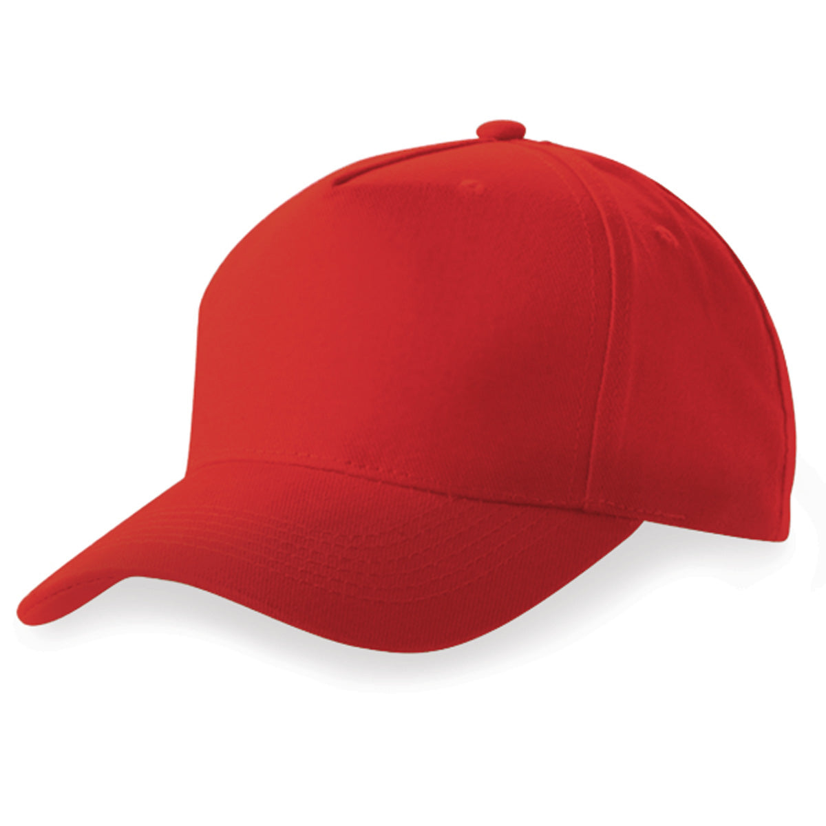 Budget 5 panel cap