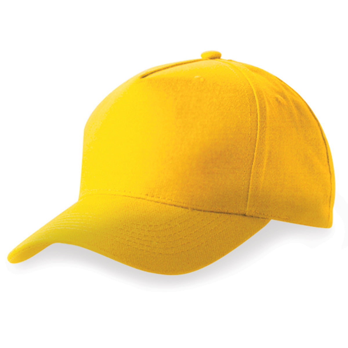 Budget 5 panel cap