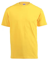A5 DTF print on heavyweight T-shirt (S-XL)