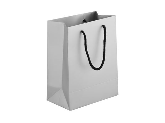 PACK OF 5 - 230gsm Matte Gift Bag - Silver