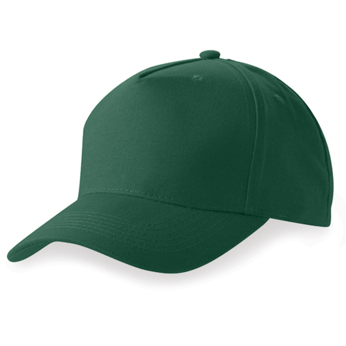 Budget 5 panel cap
